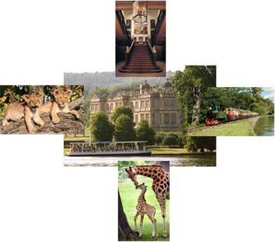 Longleat House (centre) and Safari Boat, clockwise The Main Stair Case Longleat, The Longleat Railway, Longleat Giraffe and Lion Cubs.